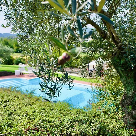 Ca' Maiolo - Con Piscina Lejlighed